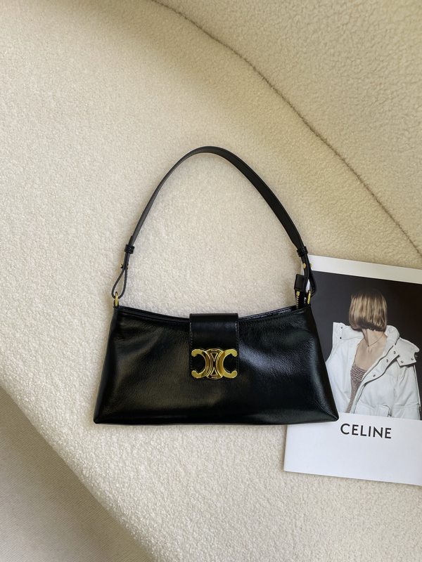 CELINE Handbags 14